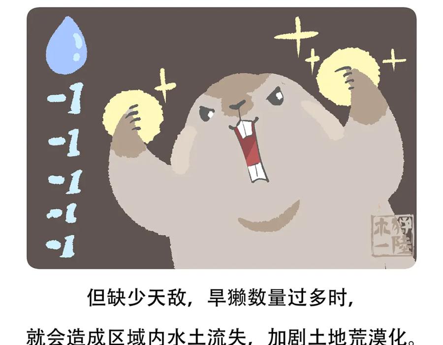 《胖达x胖达》第89话 第30页
