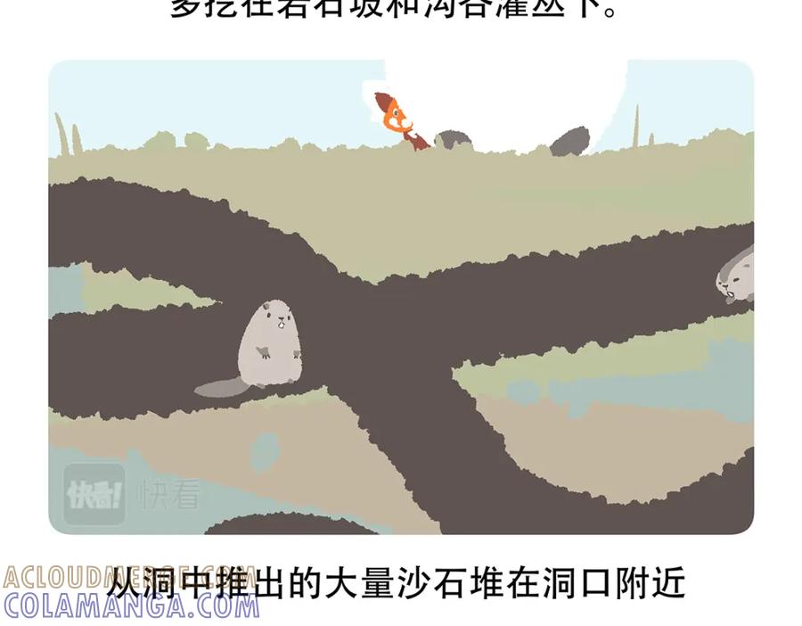 《胖达x胖达》第89话 第27页