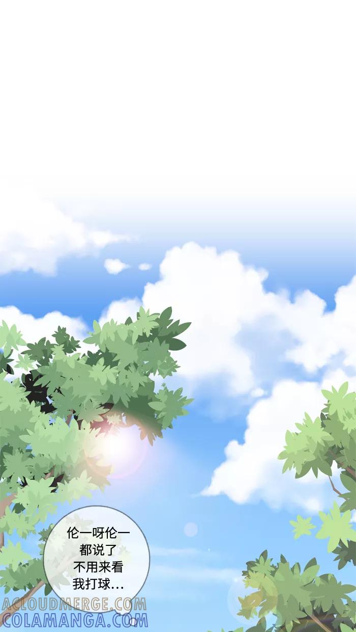 《那年夏天》第二十三章 惊喜 第52页