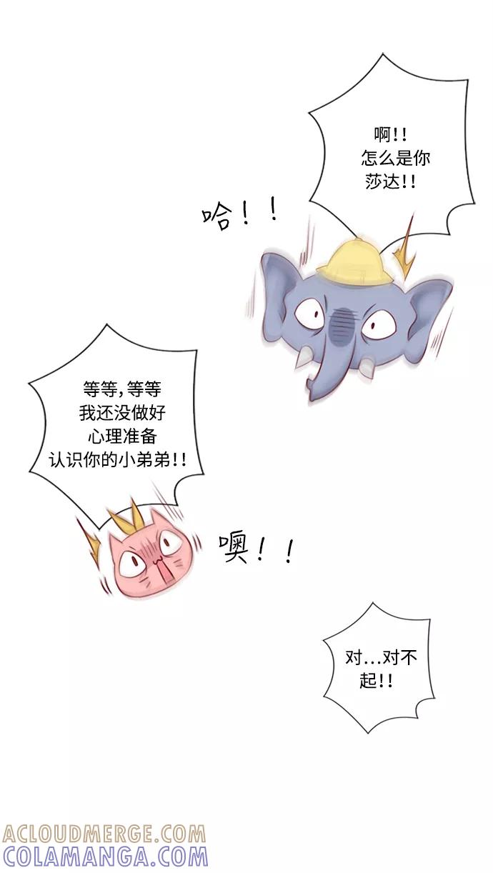 《那年夏天》第二十四章 闺蜜？ 第13页