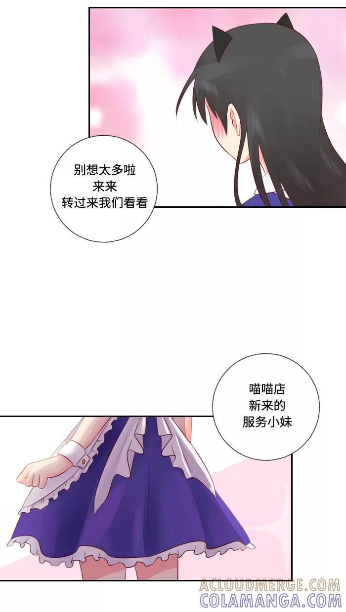 《那年夏天》第二十六章 伦小娜 第3页