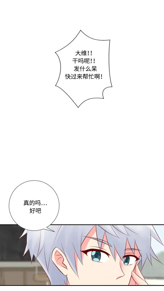《那年夏天》第二十九章 喵喵店（1） 第12页