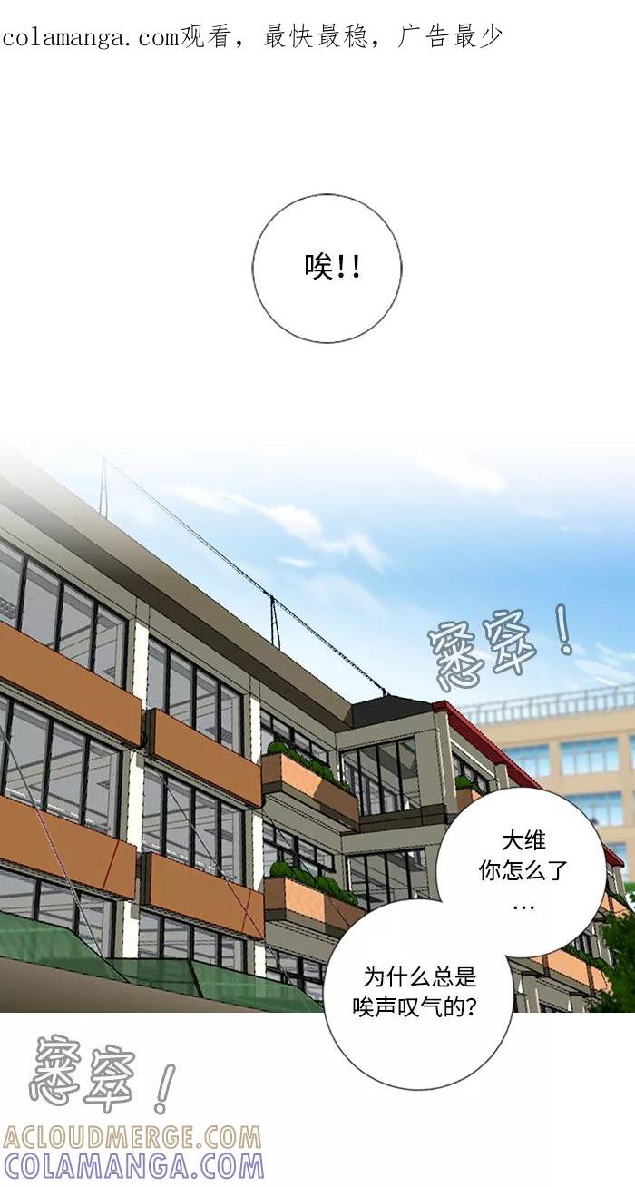 《那年夏天》第二十九章 喵喵店（1） 第1页