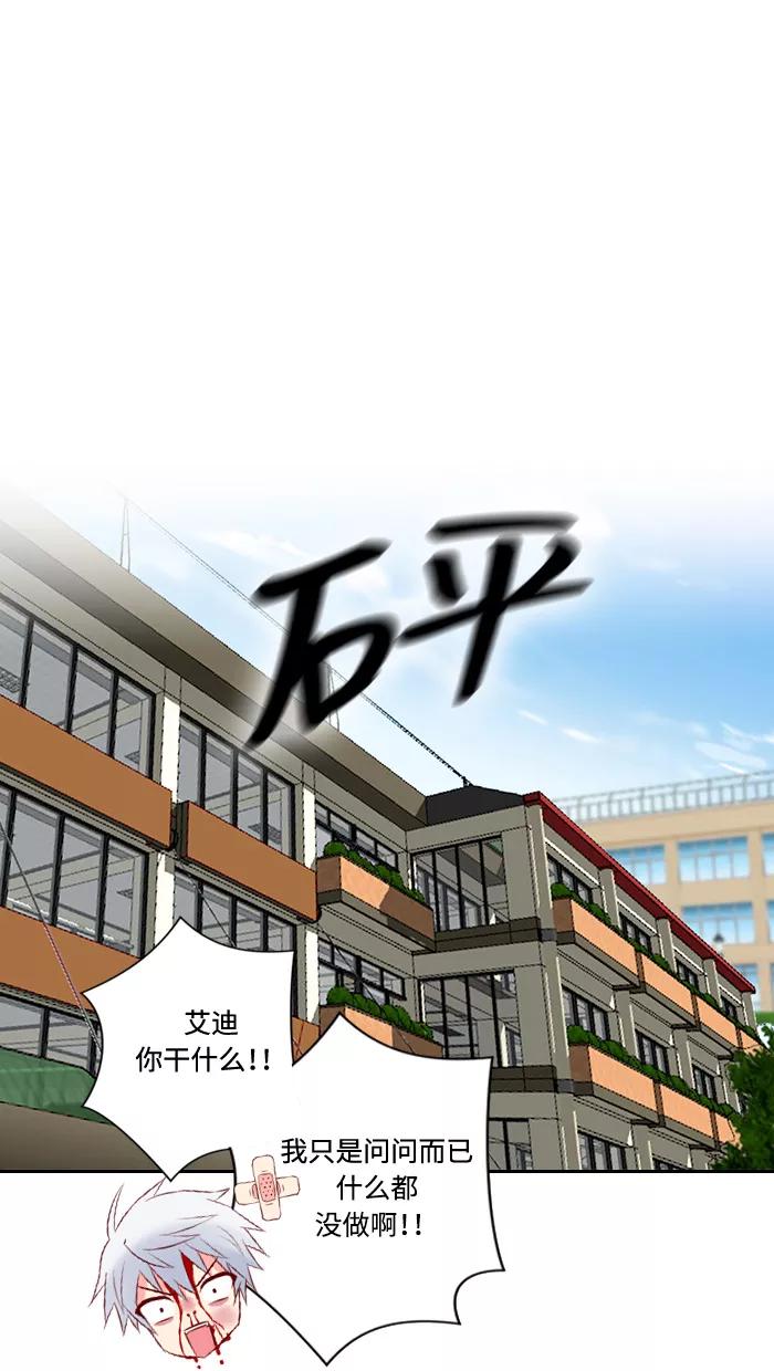 《那年夏天》第三十二章 新晋女主角 第33页