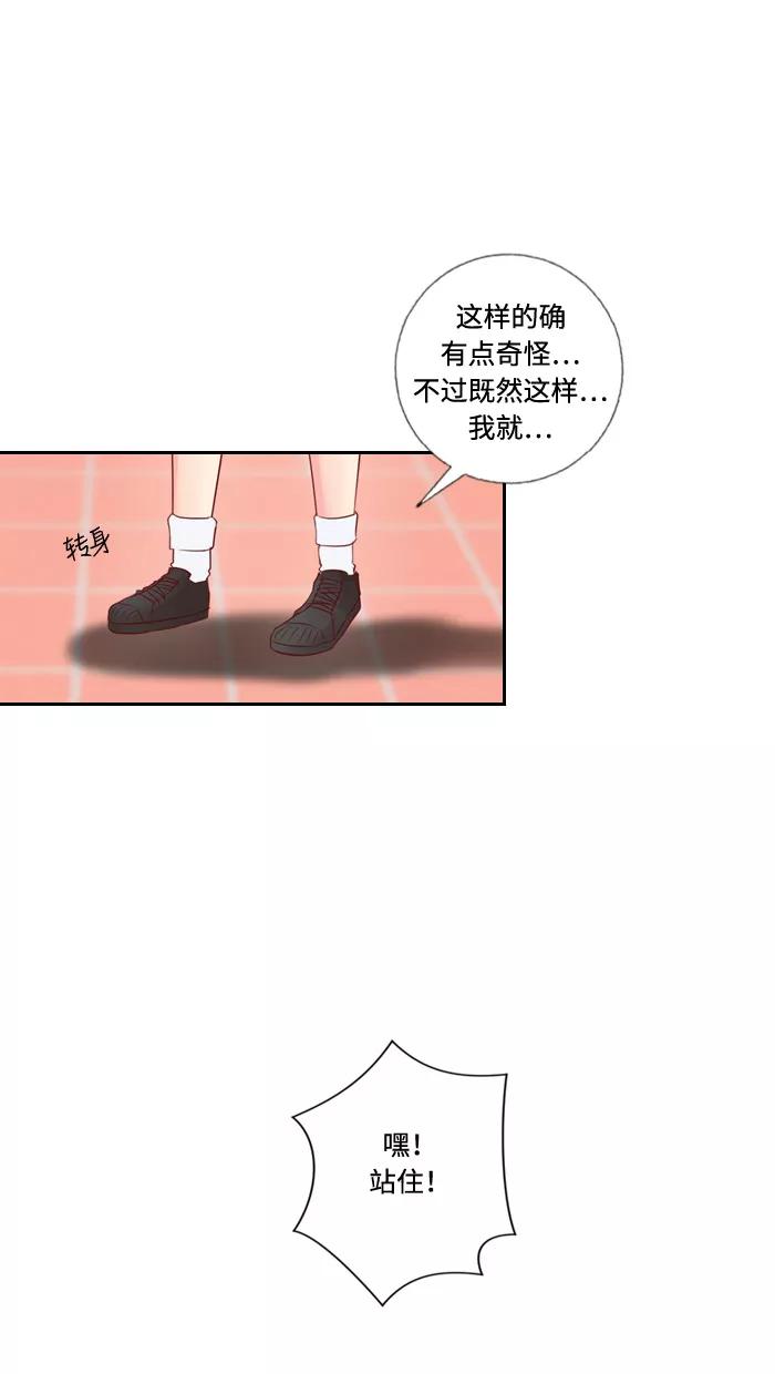 《那年夏天》第三十七章 可能不重要 第5页