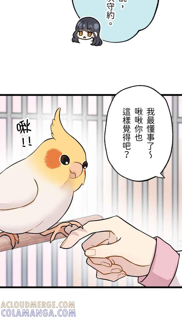 《请陪在我身边》第1话 冲击的相遇 第40页