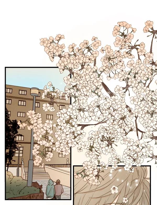 青苹果乐园 - 第13话 - 第48张图