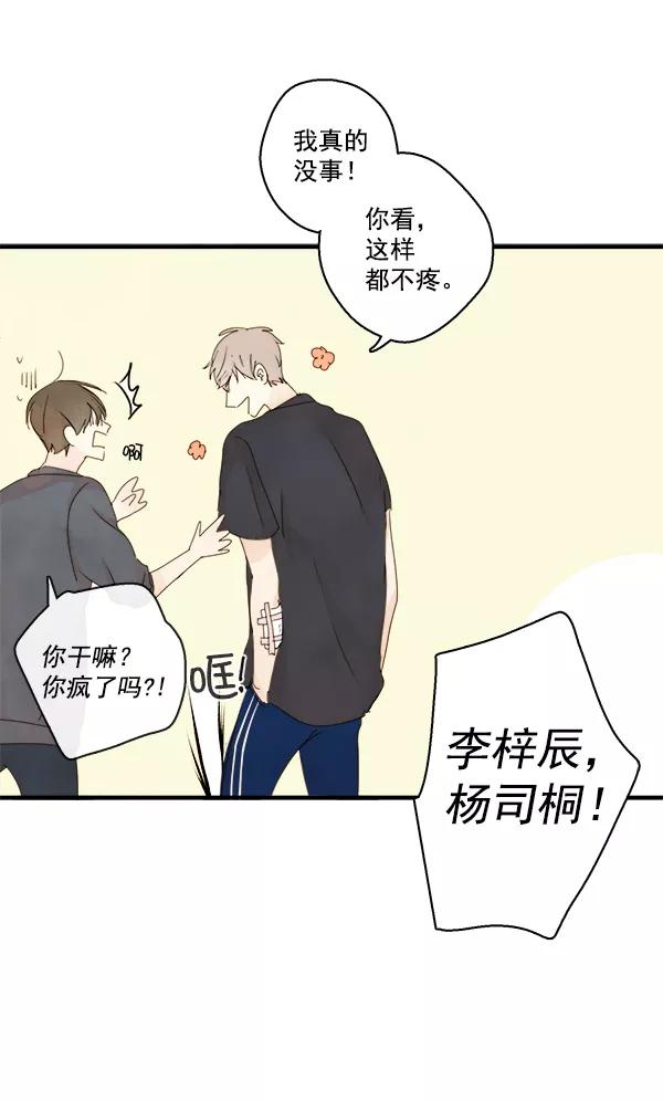 青苹果乐园 - 第19话 - 第29张图