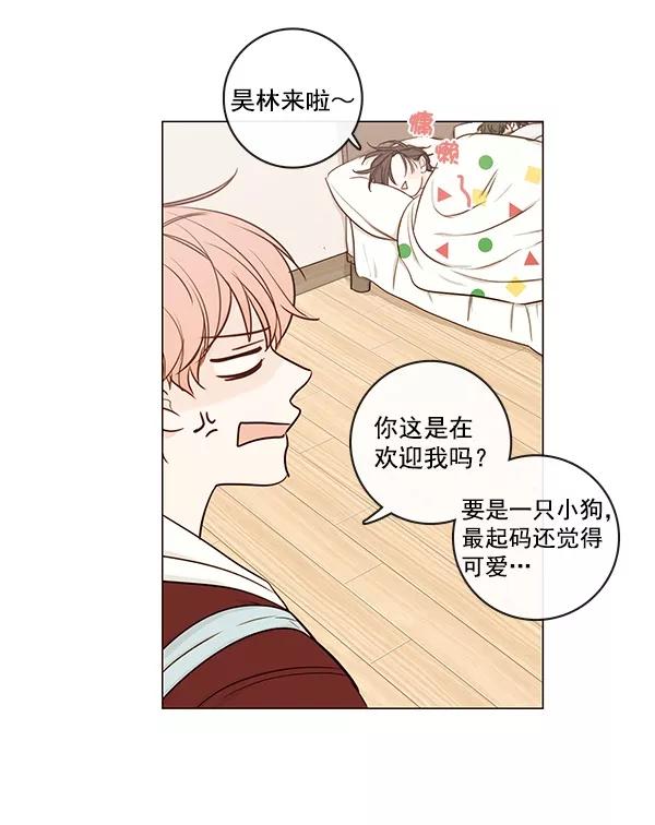 青苹果乐园 - [第二季] 第11话 - 第30张图