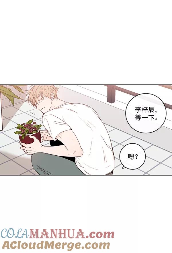 青苹果乐园 - [第二季] 第12话 - 第55张图