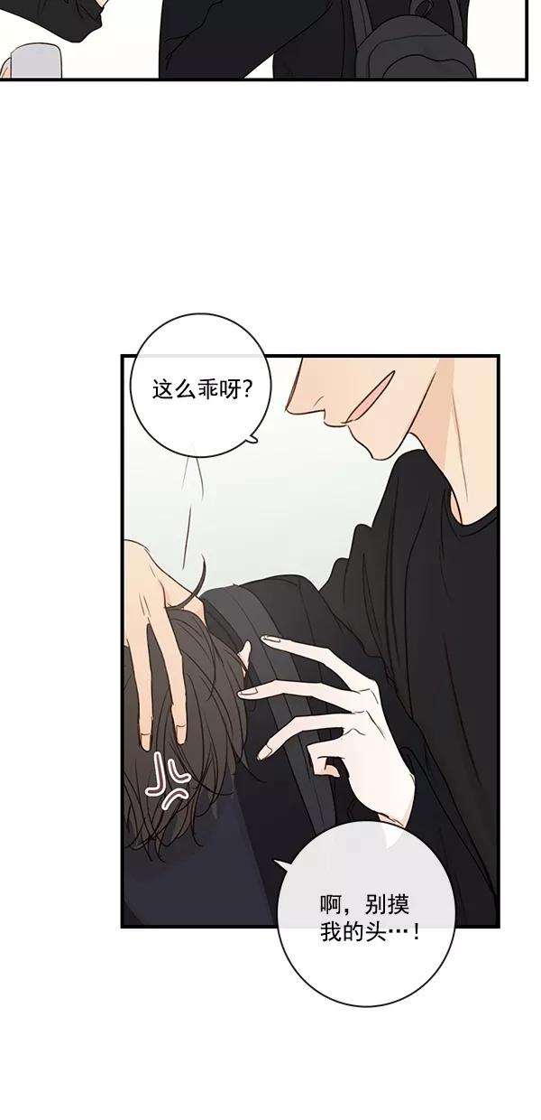 青苹果乐园 - [第二季] 第29话 - 第12张图