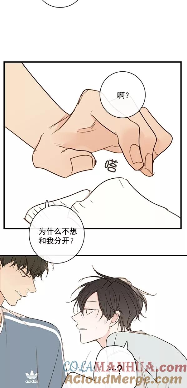 青苹果乐园 - [第二季] 第30话 - 第40张图