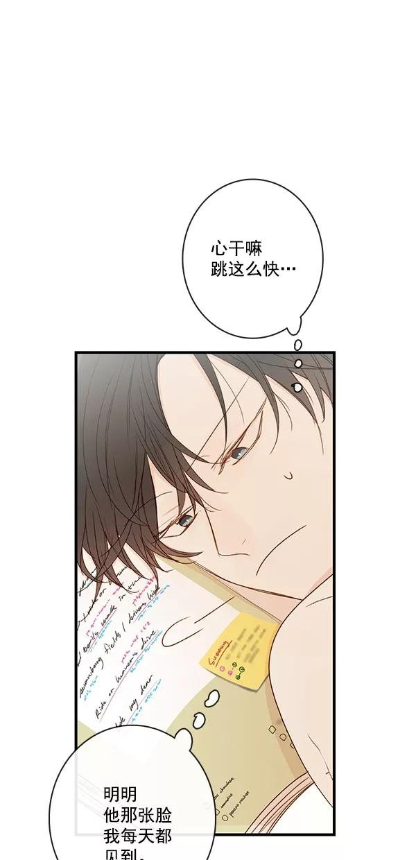 青苹果乐园 - [第二季] 第31话 - 第36张图