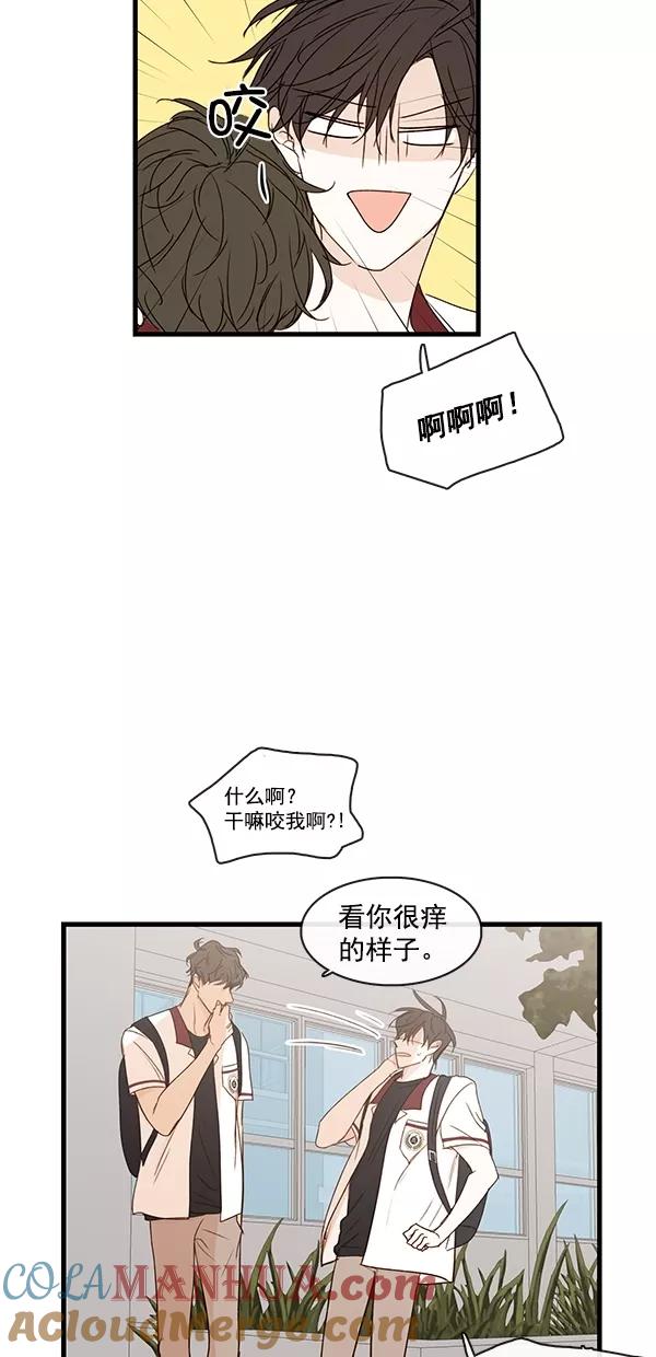 青苹果乐园 - [第二季] 第34话 - 第29张图