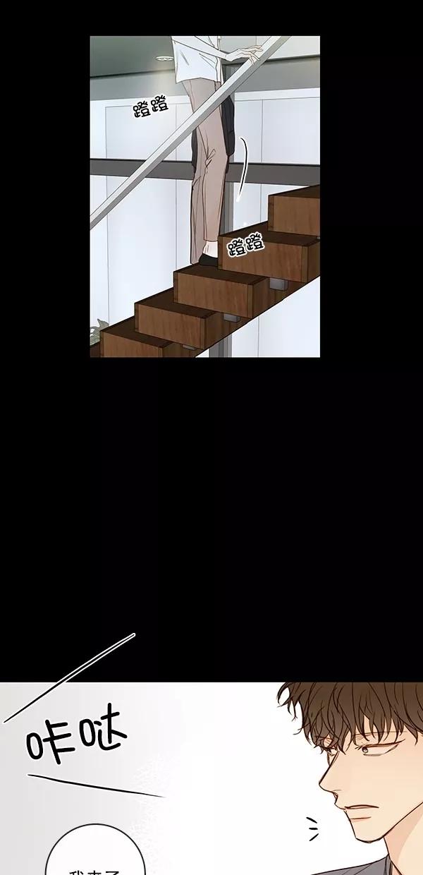 青苹果乐园 - [第二季] 第35话 - 第14张图