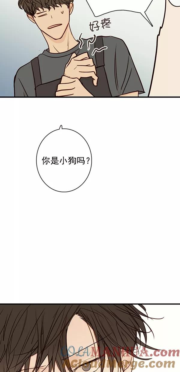 青苹果乐园 - [第二季] 第39话 - 第22张图