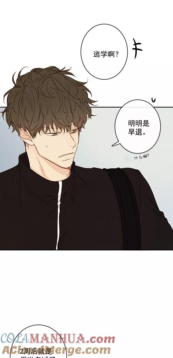 青苹果乐园 - [第二季] 第41话 - 第16张图