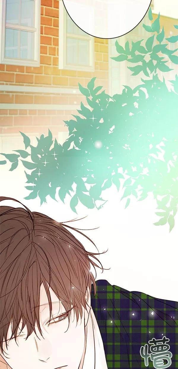 青苹果乐园 - [第二季] 第41话 - 第3张图