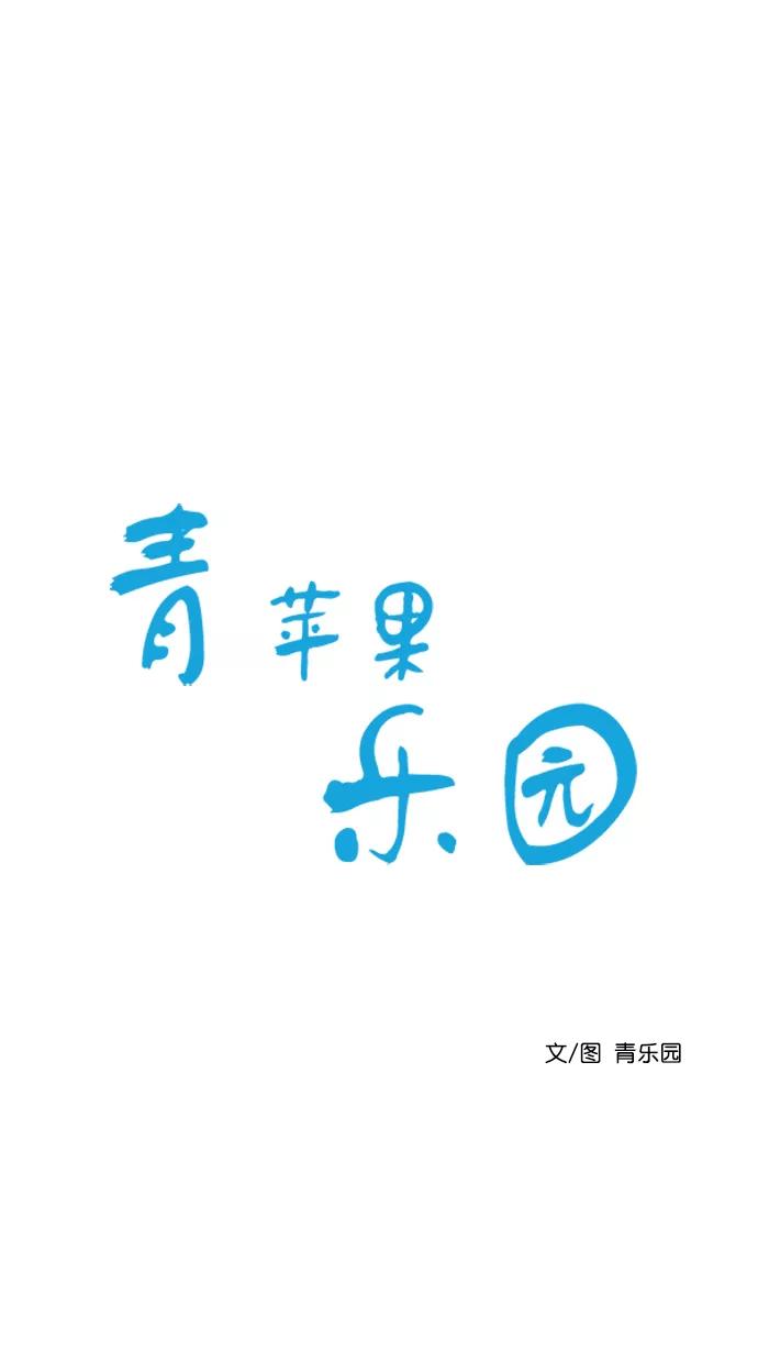 青苹果乐园 - [第二季] 外传 02话 - 第2张图