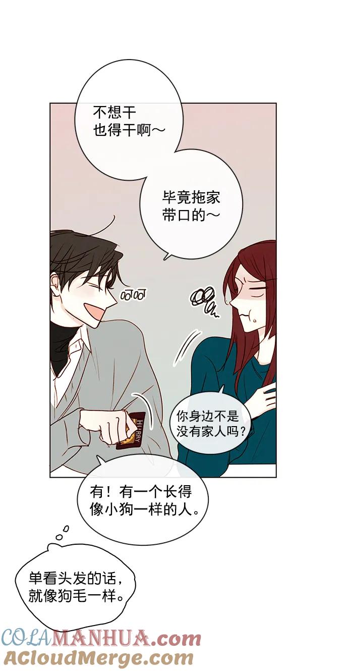 青苹果乐园 - [第二季] 外传 04话 - 第7张图