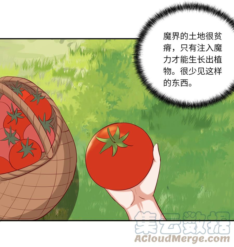 《请欺负我吧，恶役小姐！》046 我们可以成为家人 第25页