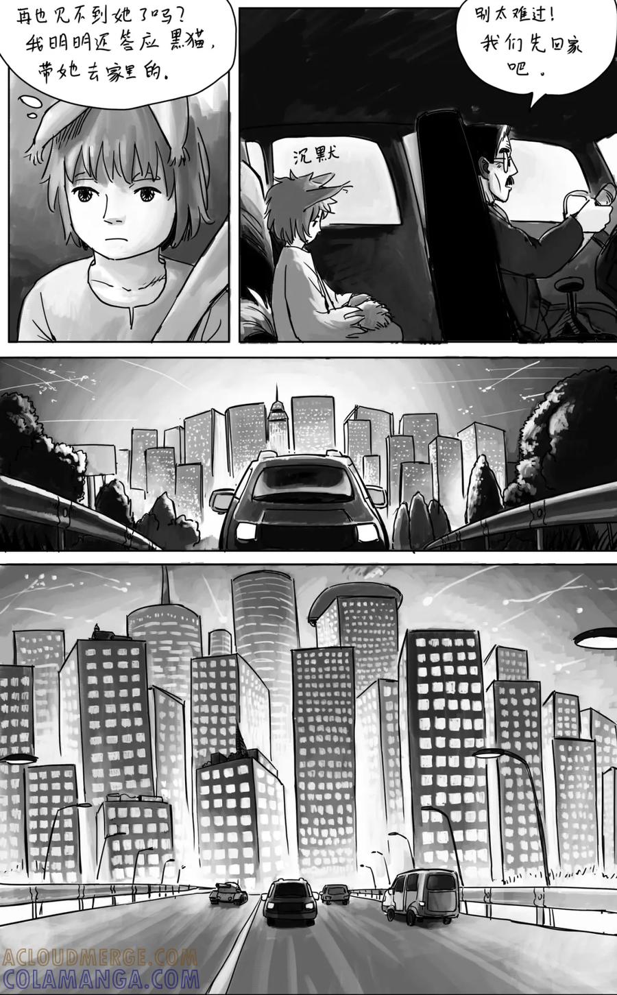 《黑猫和狐狸》16 第9页