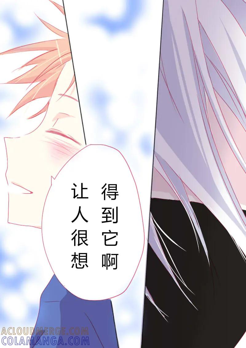 轻倾君声 陆 第11页