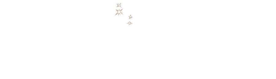 《公爵大人，请别太靠近》第114话 重回首都 第158页