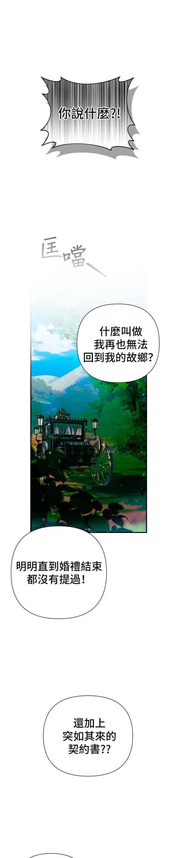 《请杀了我老公》第1话：公爵府的杀人事件 第29页
