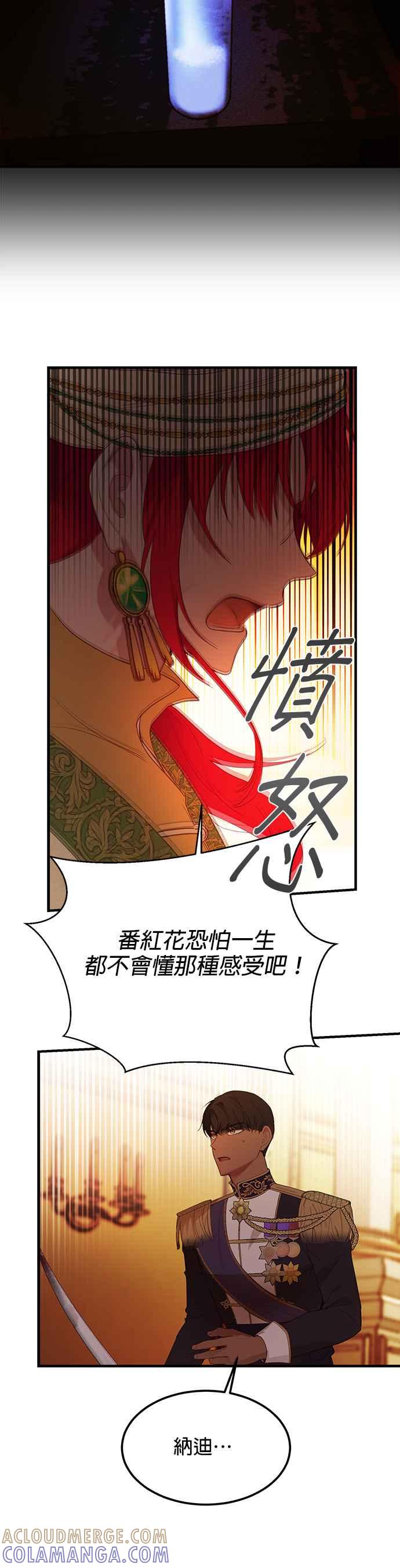 《神灯精灵亚美娜》第81话 第31页