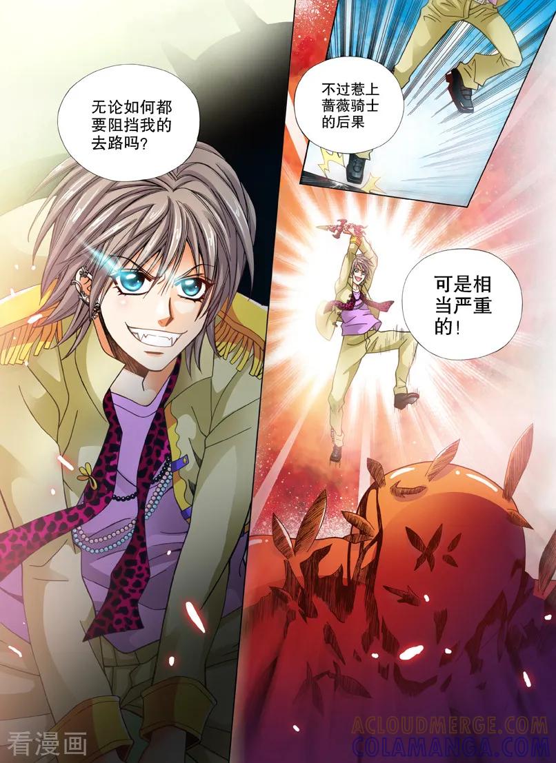 《我的蔷薇骑士1》第19话 暗夜的格斗1 第11页