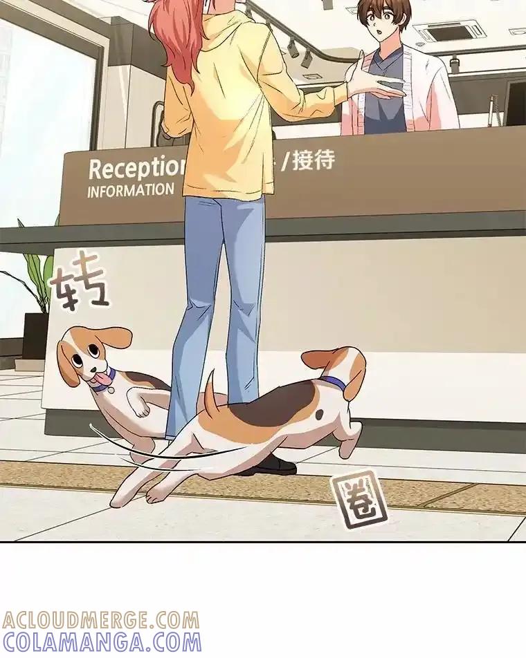 《你好？兽医先生！》60.我的哥哥（1） 第81页