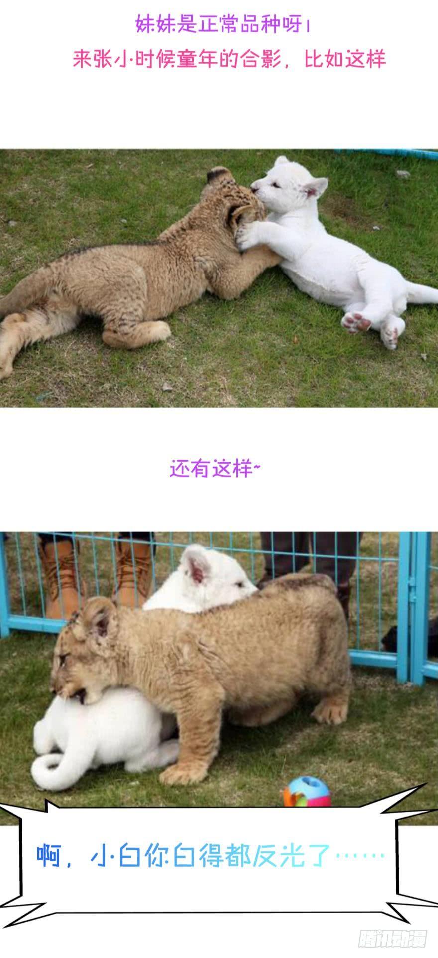 《情兽不要啊！》83话：手撕“渣男” 第33页