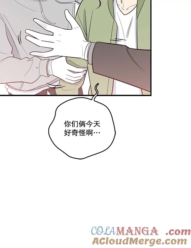 《请守护我》2.杀人犯再次现身 第17页