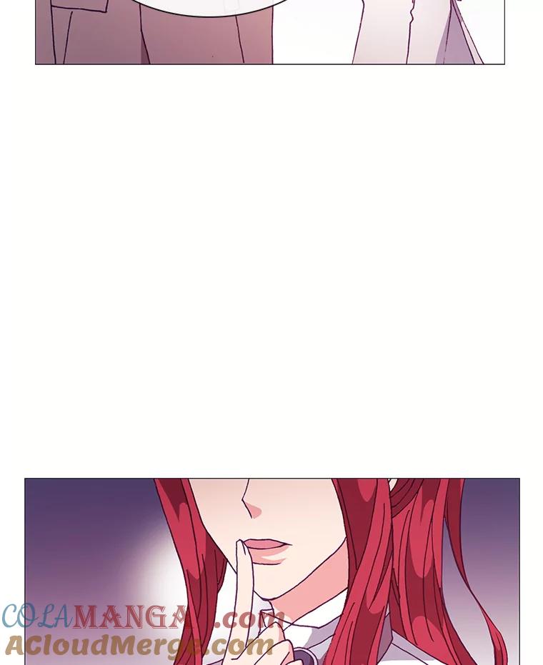 《图书馆需要魔女》62.魔女的分类 第61页