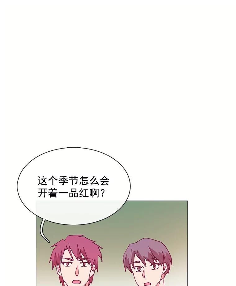 《图书馆需要魔女》62.魔女的分类 第30页