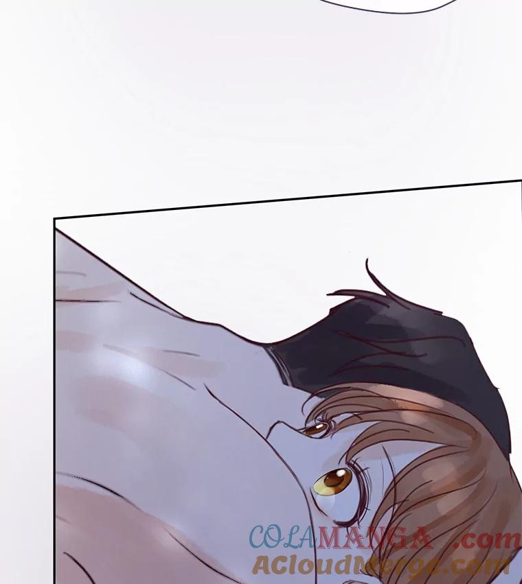 《触发嫉妒》70.爱情 第13页