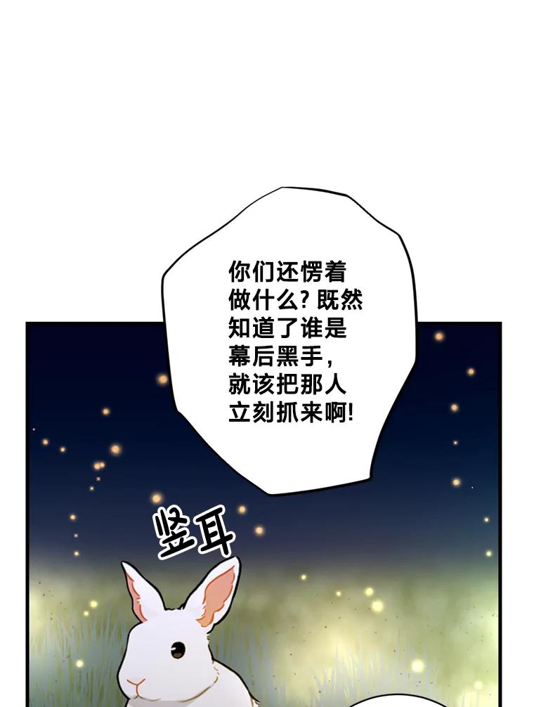 《请痛快地处决我》12.拜访 第65页