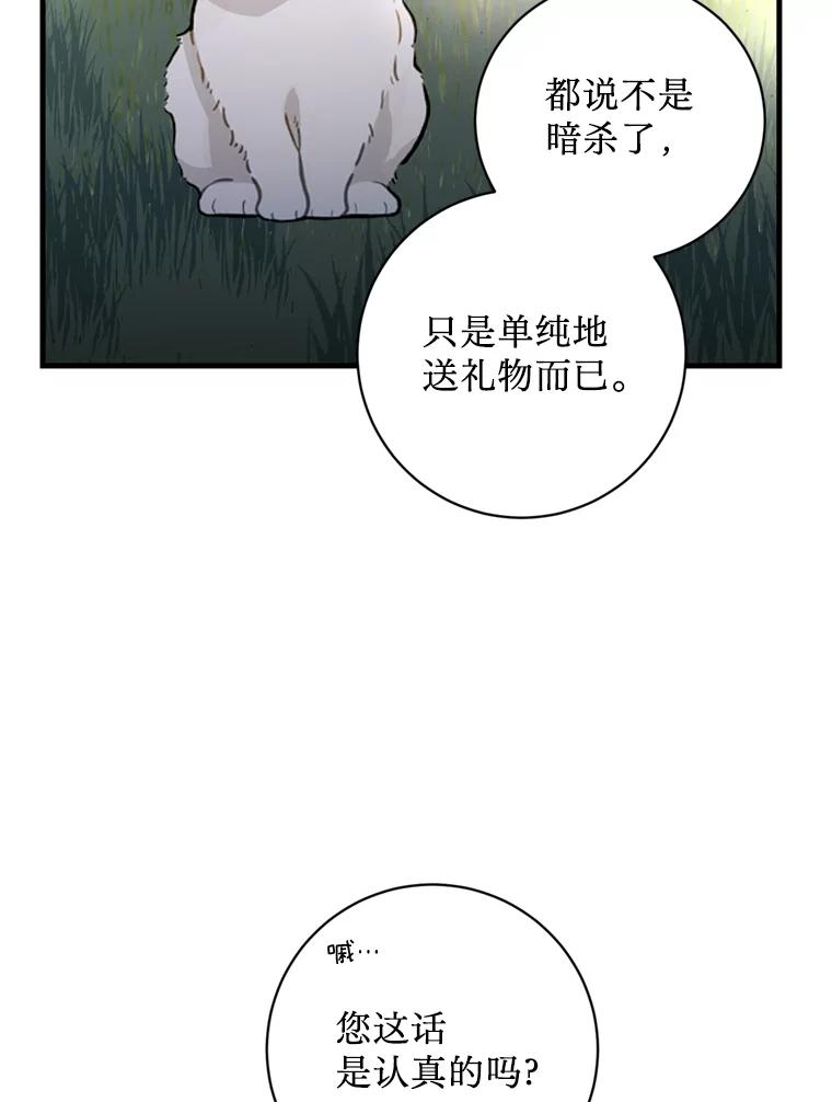《请痛快地处决我》12.拜访 第66页