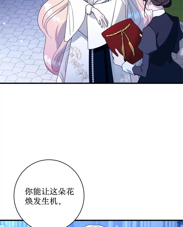 《请痛快地处决我》13.比较 第74页