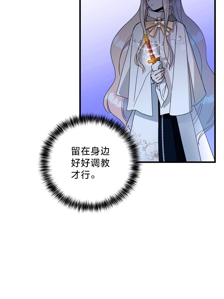 《请痛快地处决我》13.比较 第71页
