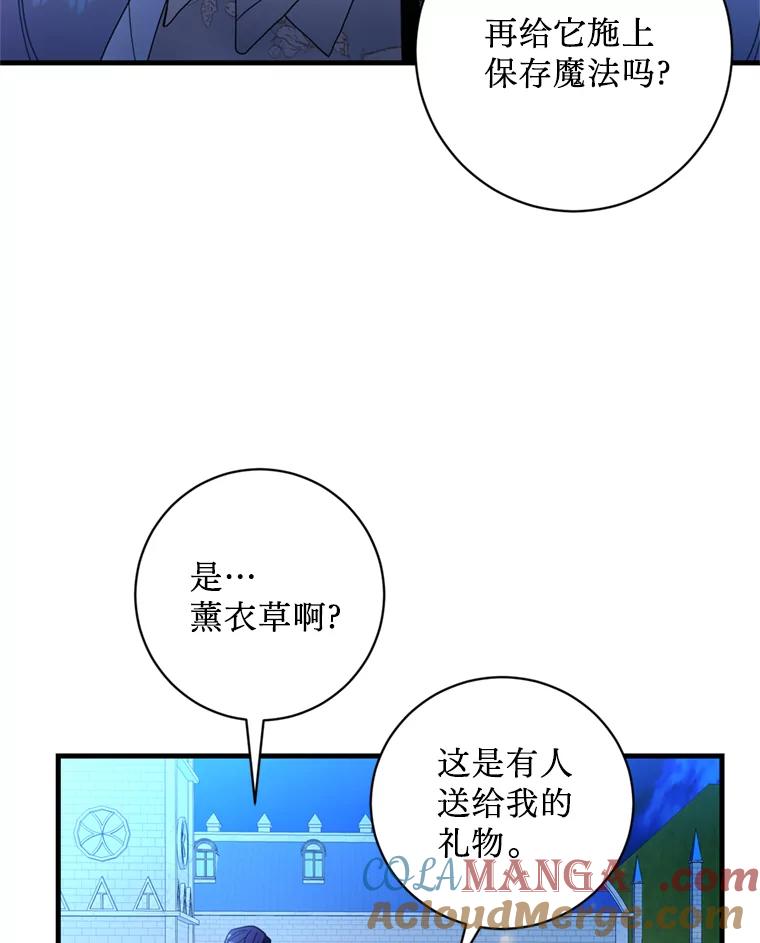 《请痛快地处决我》13.比较 第76页