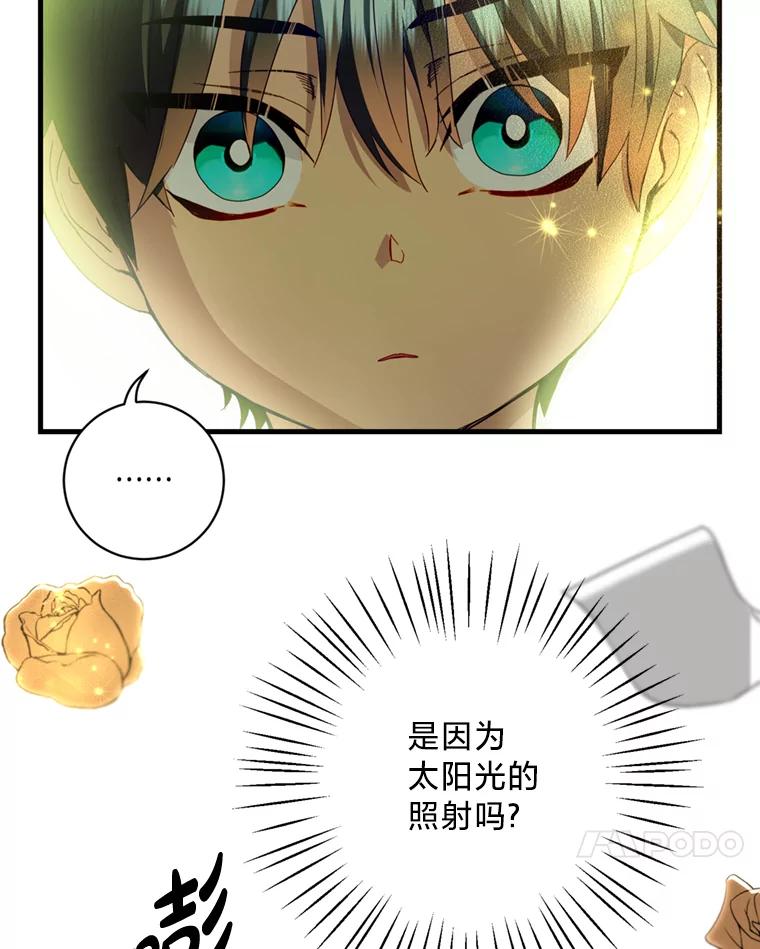 《请痛快地处决我》18.测试 第41页