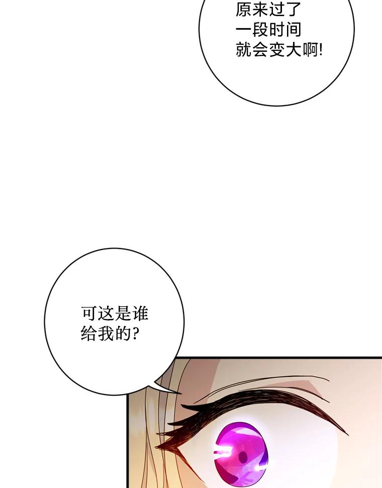 《请痛快地处决我》5.固执 第86页