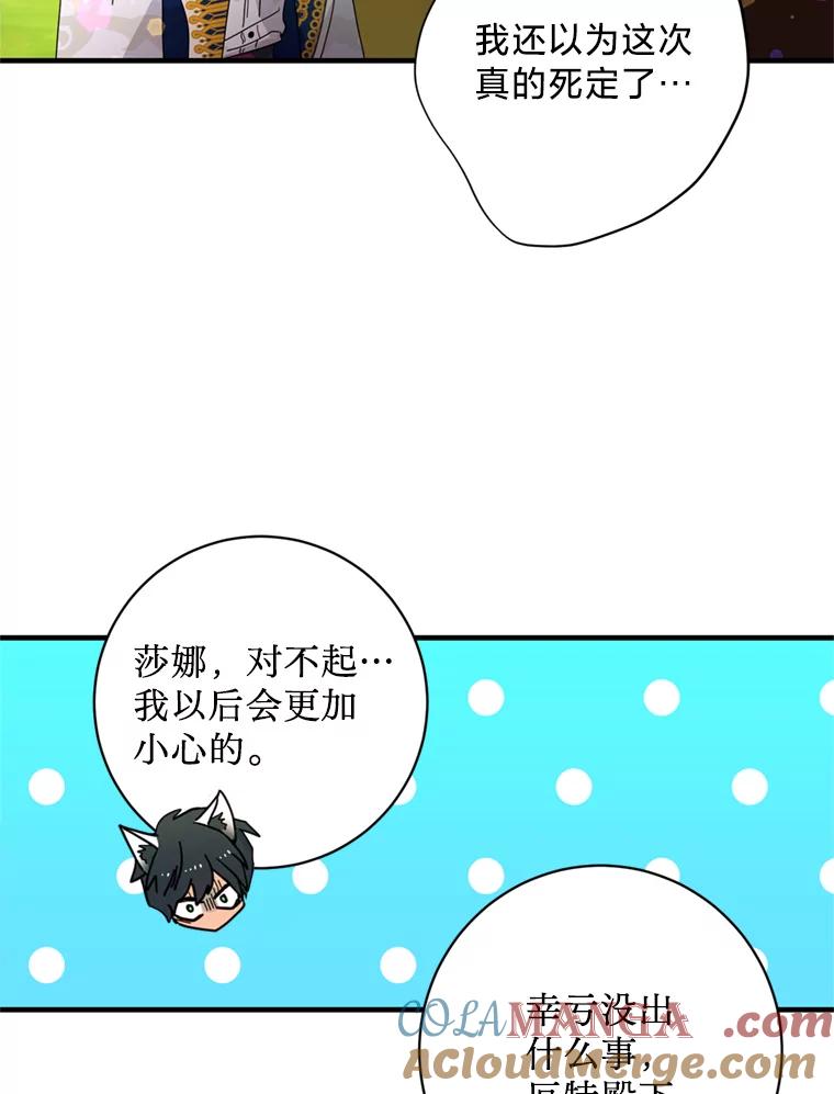 《请痛快地处决我》5.固执 第70页