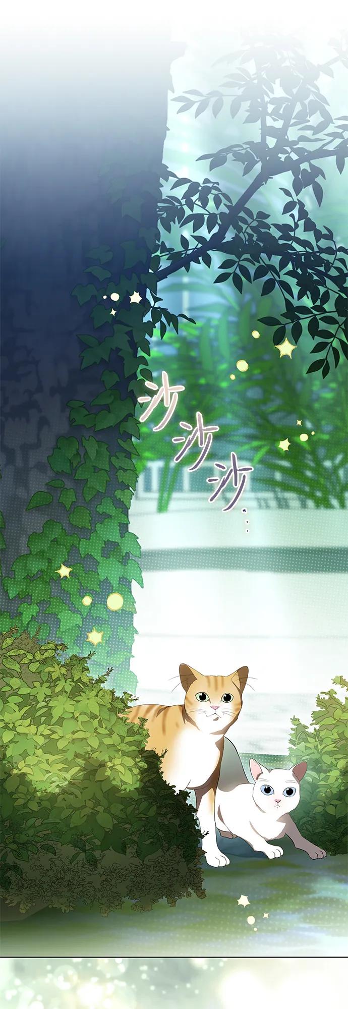 代价是你们的一切 [第80话] 因为我爱… 第56页