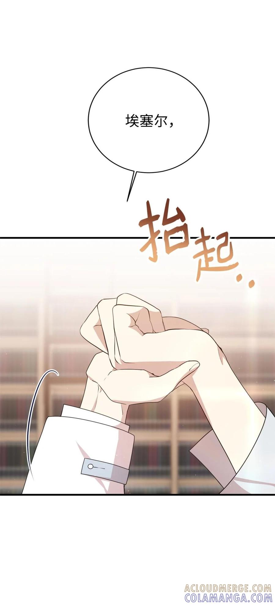 《虽然是魂穿游戏世界里女主的姐粉》21 母亲的往事 第28页