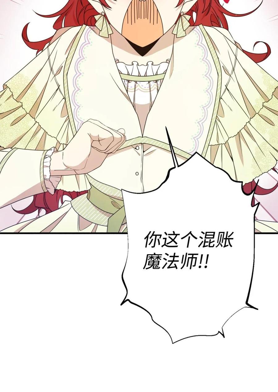 《虽然是魂穿游戏世界里女主的姐粉》22 魔法操控 第17页