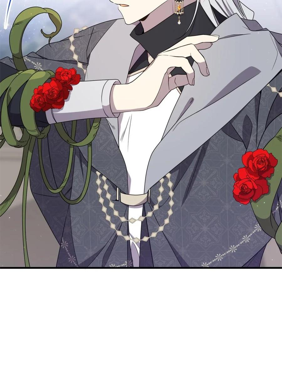 《虽然是魂穿游戏世界里女主的姐粉》22 魔法操控 第65页
