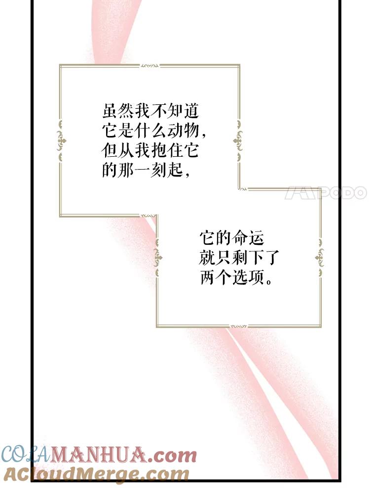 请张嘴，金汤匙来了 - 33.离开大教堂（2） 第42页